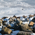 Bostalsee im Winter