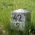 Schwarzwälder Hochwald