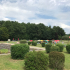 Naturfreibad Primstal