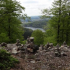 Schwarzwälder Hochwald